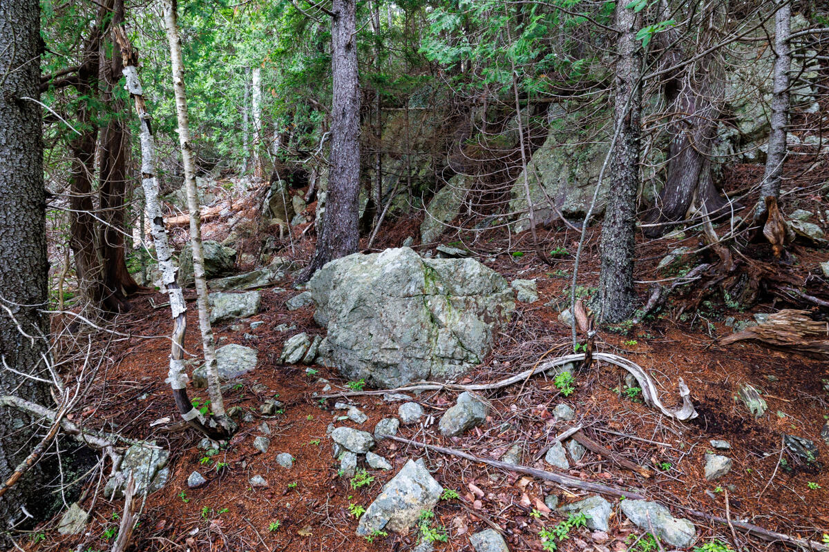 Lot 27 Coffins Neck Road Lubec, ME 04652 - Photo 19 of 27 8-Lot 27 Coffins Neck Road LoRes-DTP