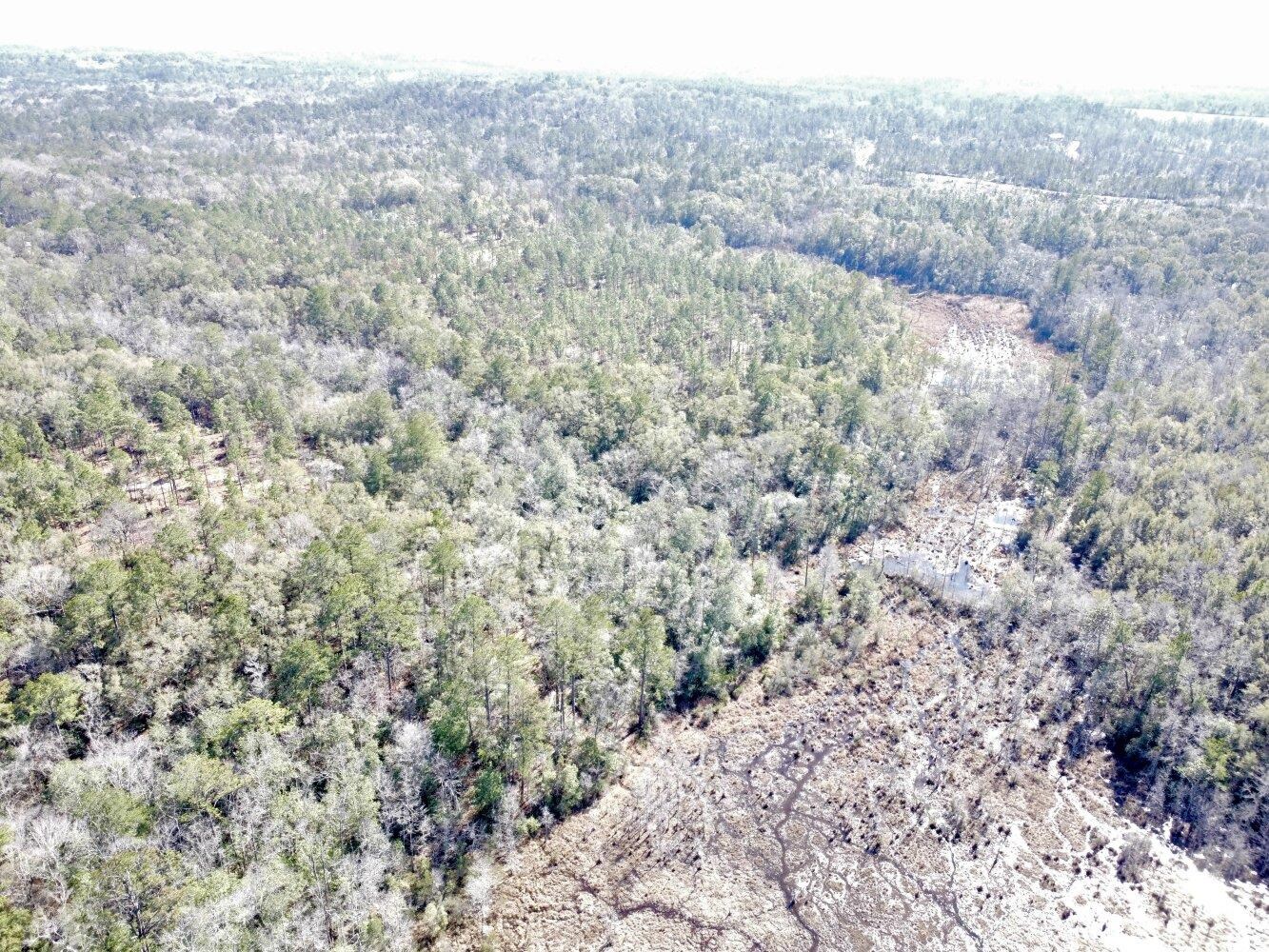 0 Dixon Road Bay Minette, AL 36507 - Photo 10 of 50