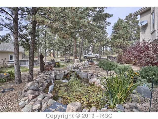 11587 Shaugnessy Road Colorado Springs, CO 80908 - Photo 21 of 24 Water feature and garden area