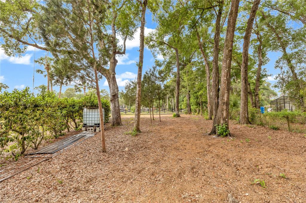 721 McGregor Road DeLand, FL 32720 - Photo 42 of 53