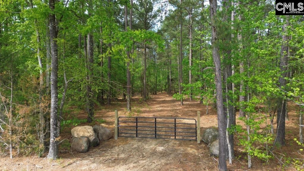 Beulah Road Leesville, SC 29070 - Photo 3 of 19