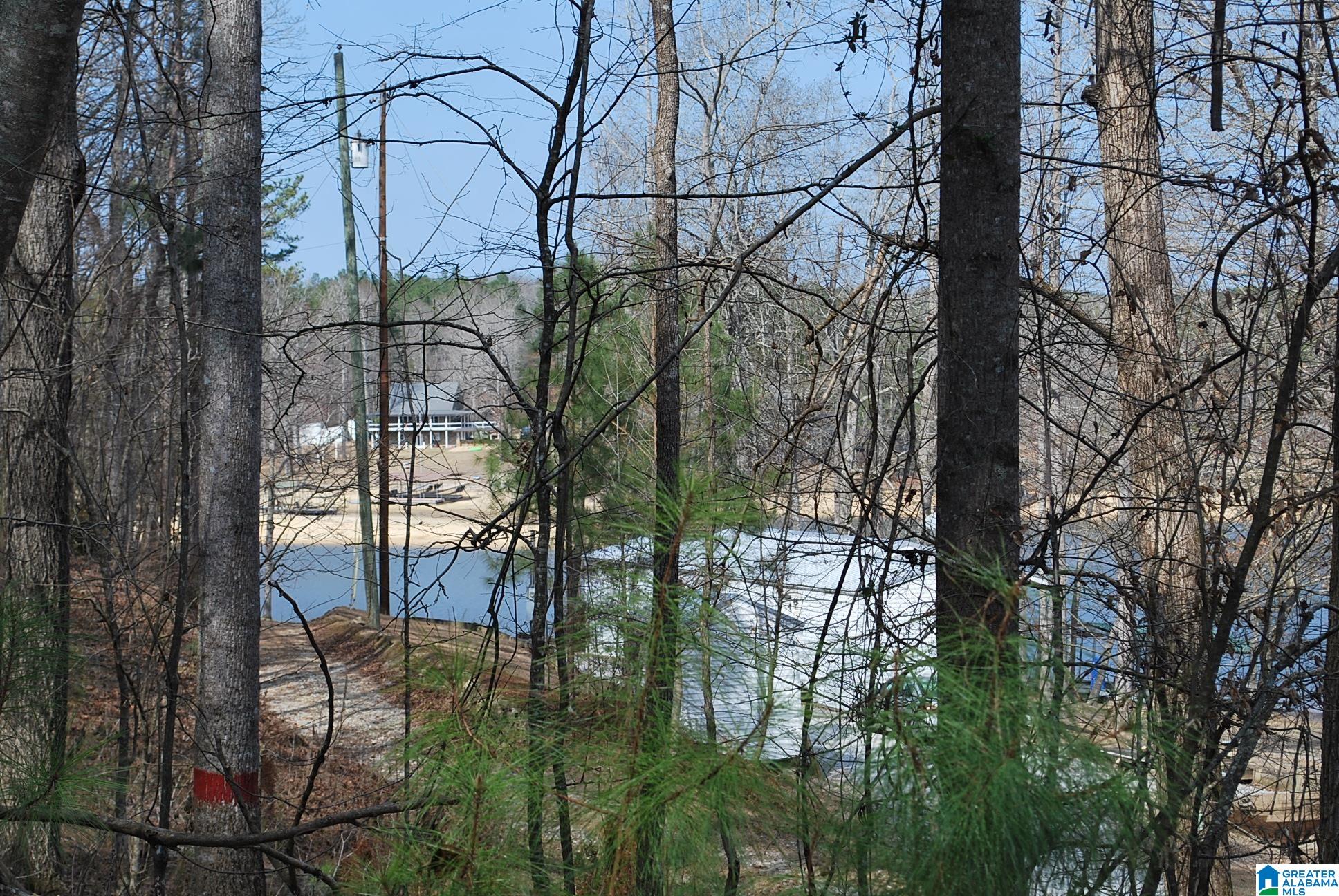 8023 County Road, Unit 8 Lineville, AL 36266 - Photo 2 of 21