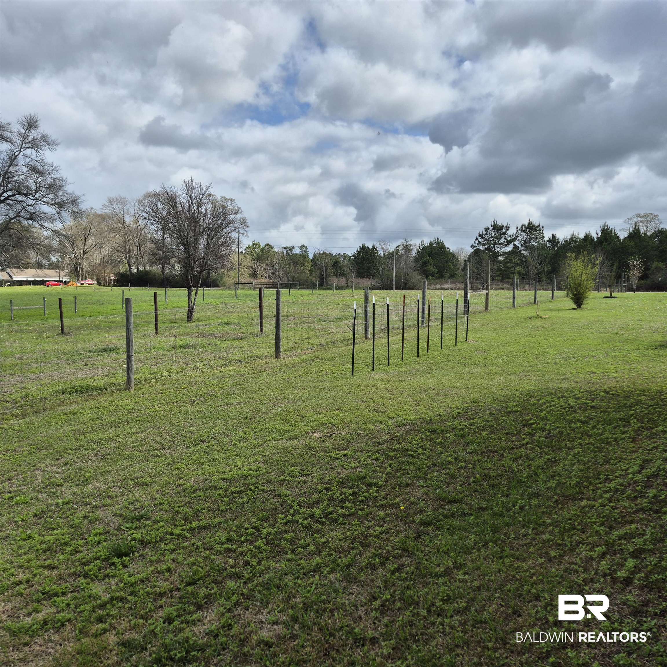 26635 Highway 41 Range, AL 36473 - Photo 67 of 74 View of grassy yard
