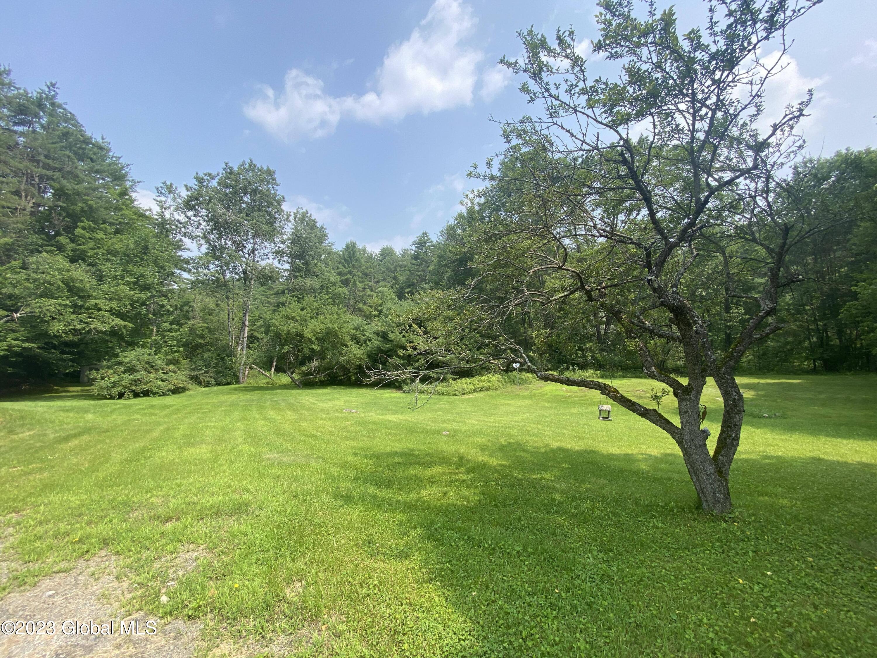 710 Harrington Road Wevertown, NY 12886 - Photo 48 of 54 361594604_159481990484196_60201322772773