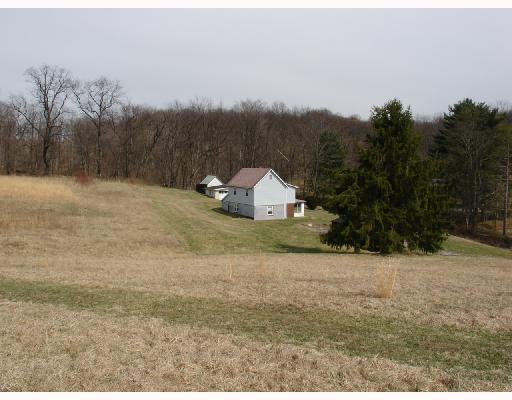 55 Pine Valley Road Washington, PA 15301 - Photo 8 of 8 Other. There also is an additional home and outbuildings included in the sale.