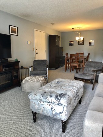 808 Franklin Crossing Road, Unit 808 Franklin, MA 02038 - Photo 8 of 23