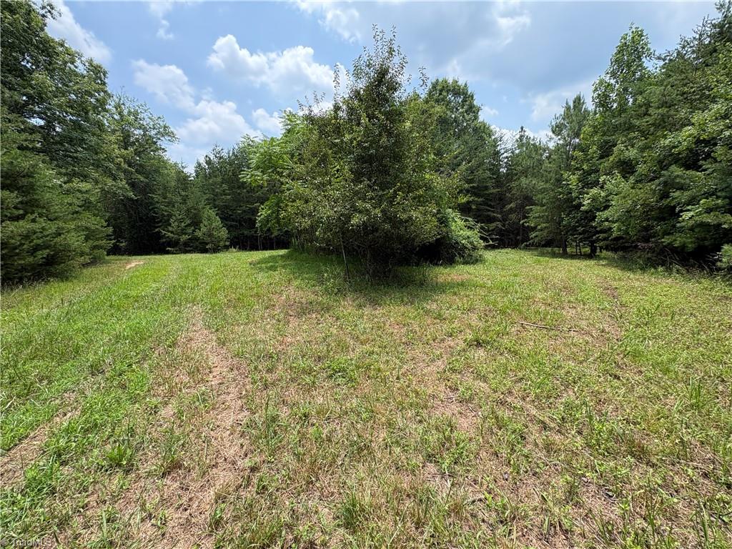 207 Cockerham Road Elkin, NC 28621 - Photo 9 of 42 Gallery Image 9