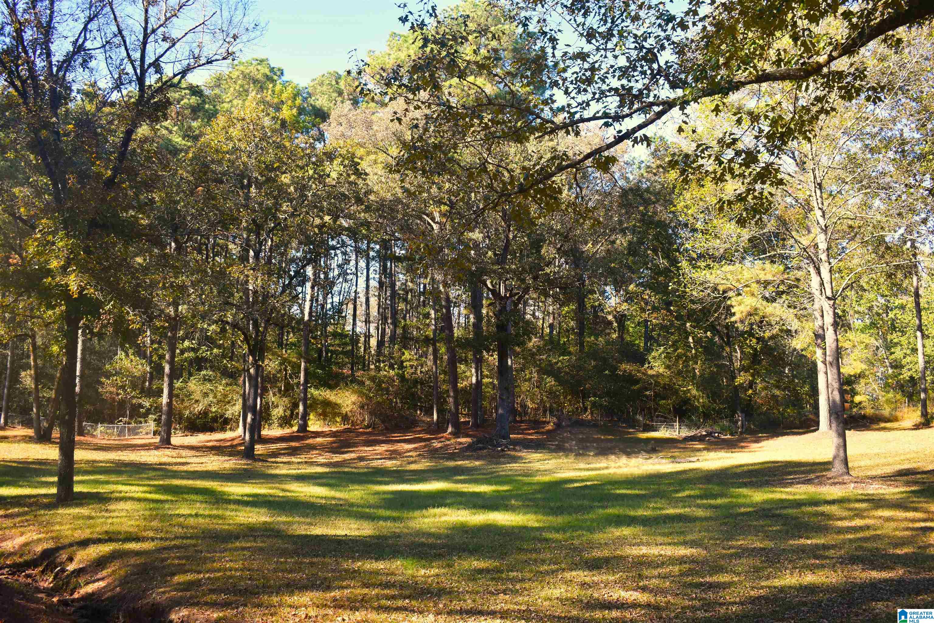 90 Chaley Springs Road Warrior, AL 35180 - Photo 3 of 23