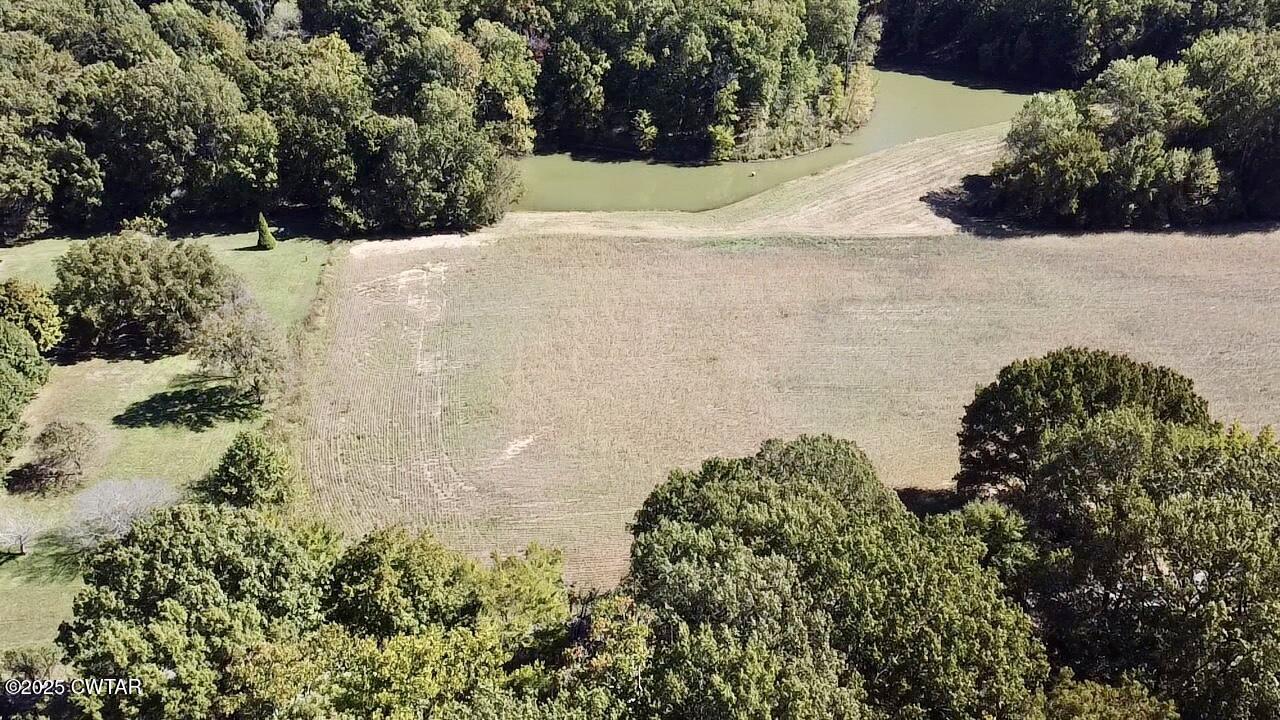 0 Harrison Road Dyersburg, TN 38024 - Photo 1 of 4 a view of a yard with plants and tree