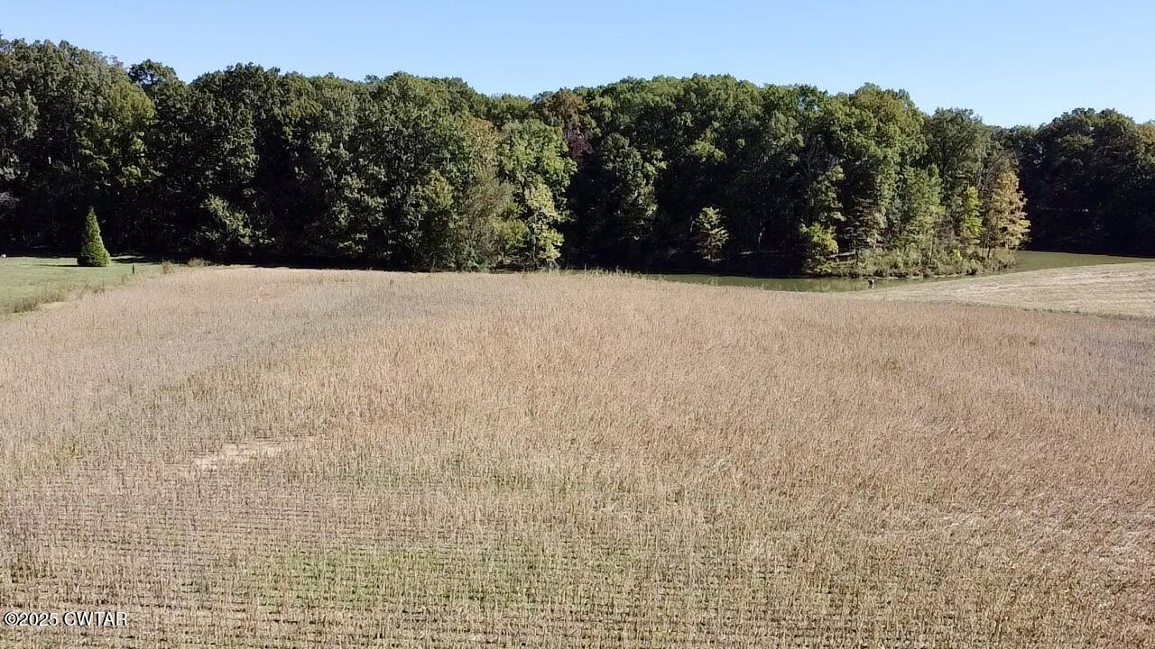 0 Harrison Road Dyersburg, TN 38024 - Photo 2 of 4 a view of outdoor space and yard