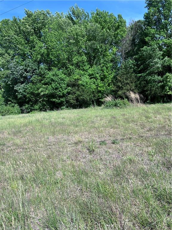 0 County Line Road Thomasville, NC 27360 - Photo 5 of 5