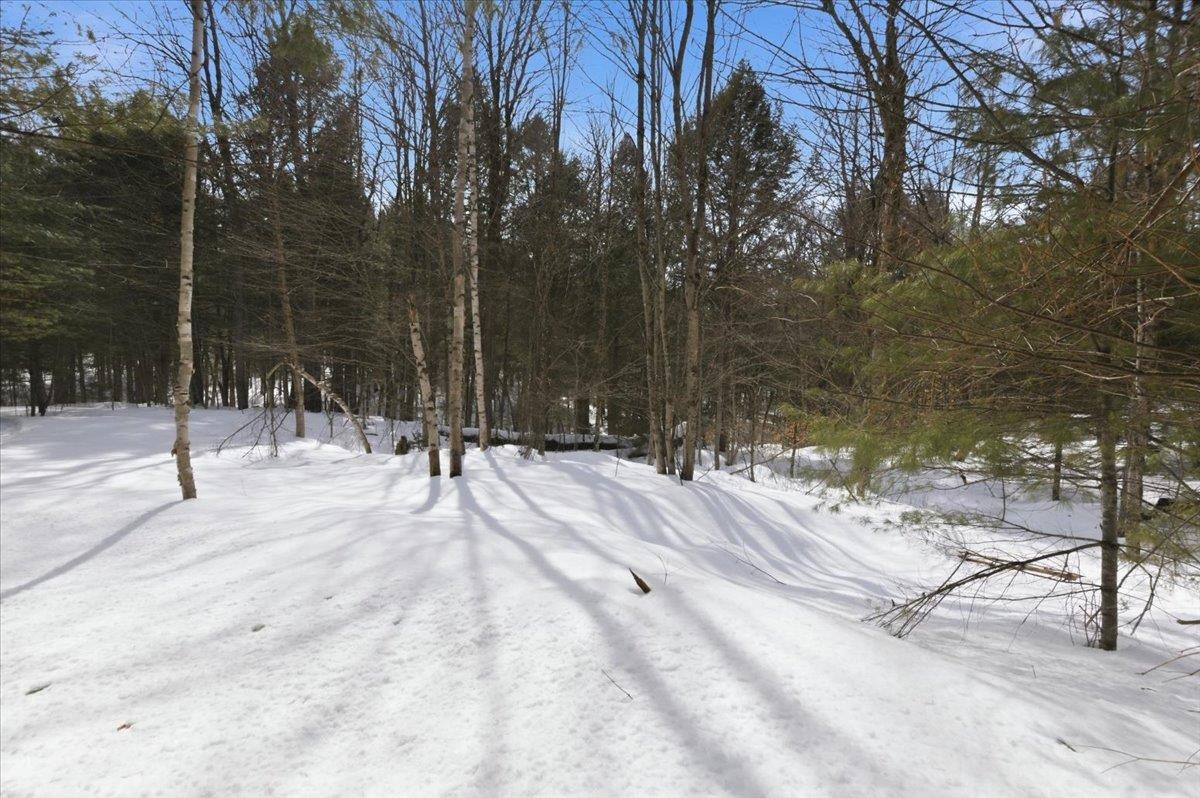 3 Hummingbird Lane Waitsfield, VT 05673 - Photo 12 of 23