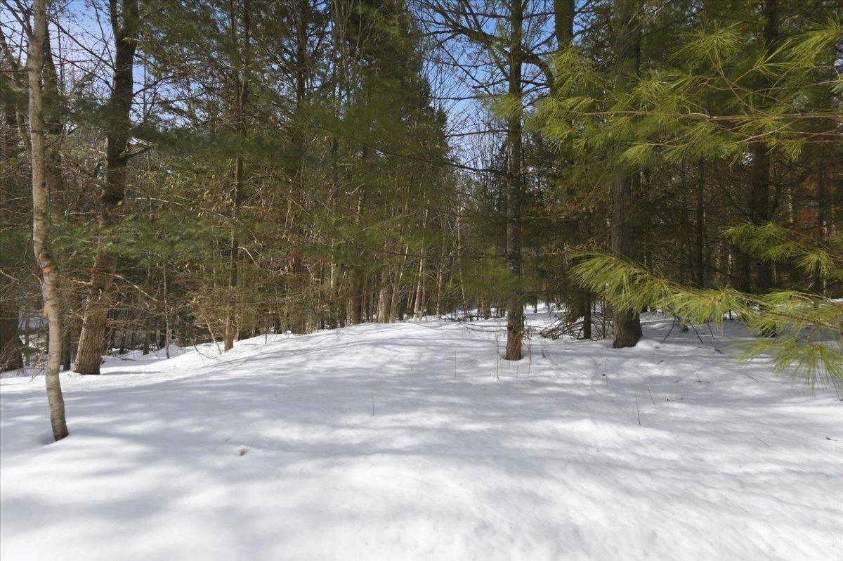 3 Hummingbird Lane Waitsfield, VT 05673 - Photo 13 of 23