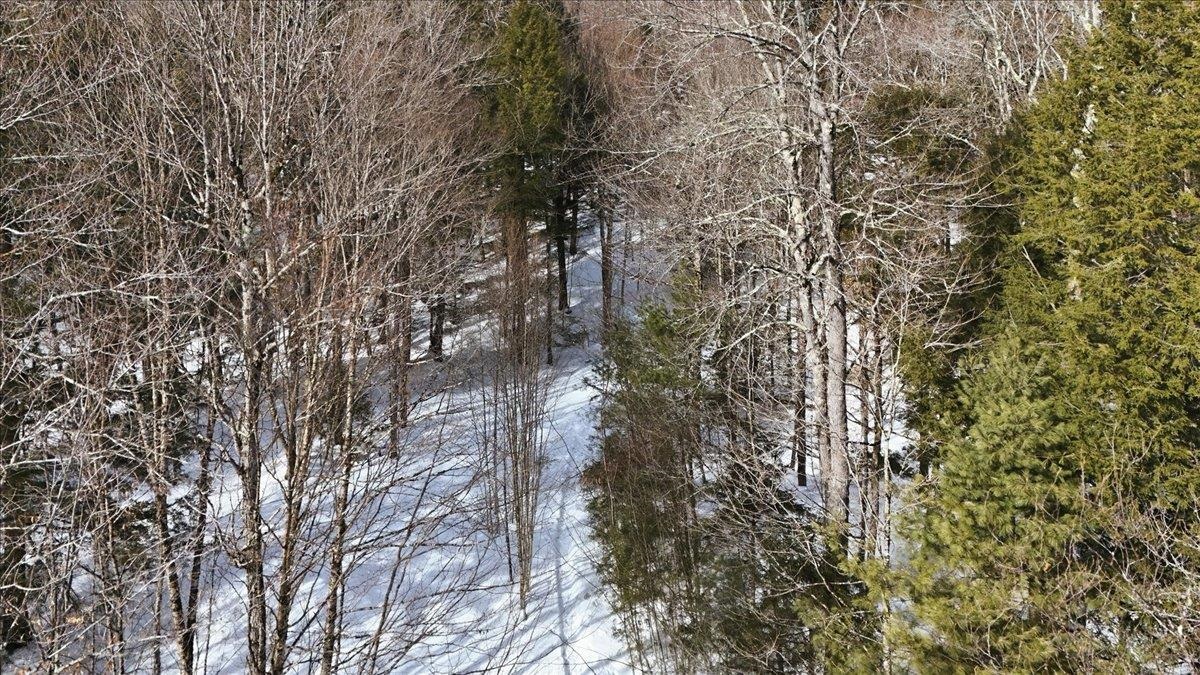 3 Hummingbird Lane Waitsfield, VT 05673 - Photo 15 of 23