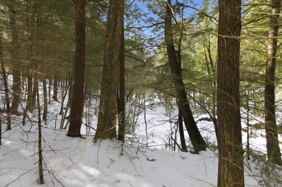 3 Hummingbird Lane Waitsfield, VT 05673 - Photo 17 of 23