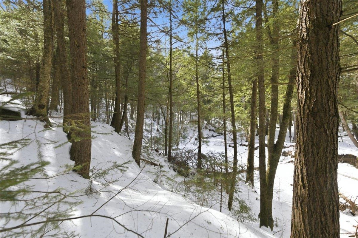 3 Hummingbird Lane Waitsfield, VT 05673 - Photo 19 of 23