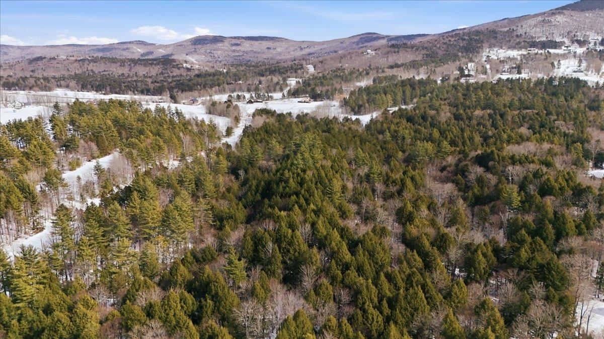 3 Hummingbird Lane Waitsfield, VT 05673 - Photo 6 of 23