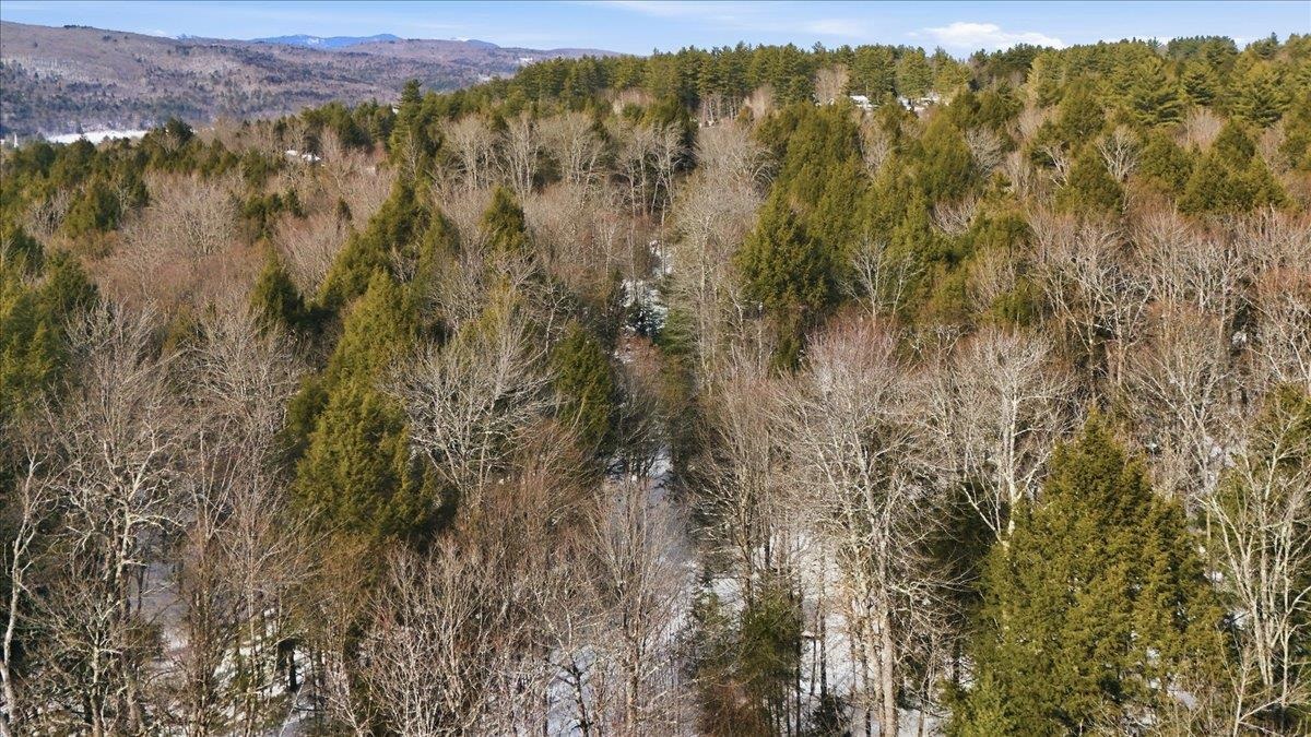 3 Hummingbird Lane Waitsfield, VT 05673 - Photo 7 of 23