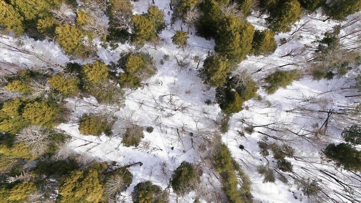 3 Hummingbird Lane Waitsfield, VT 05673 - Photo 8 of 23