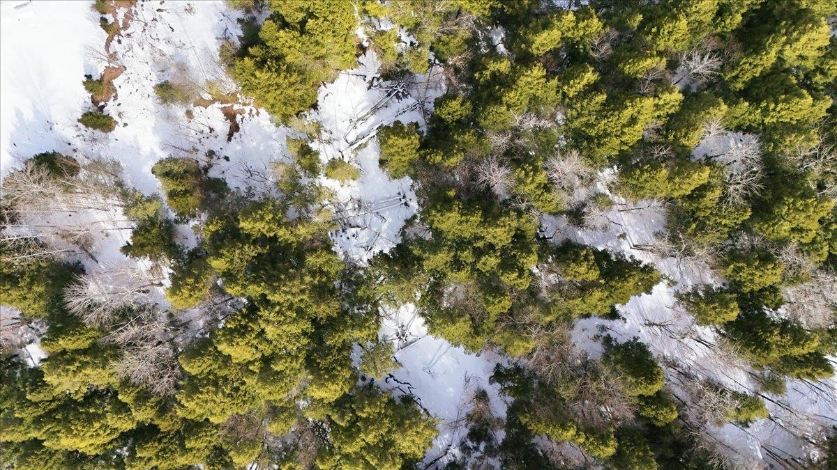 3 Hummingbird Lane Waitsfield, VT 05673 - Photo 9 of 23