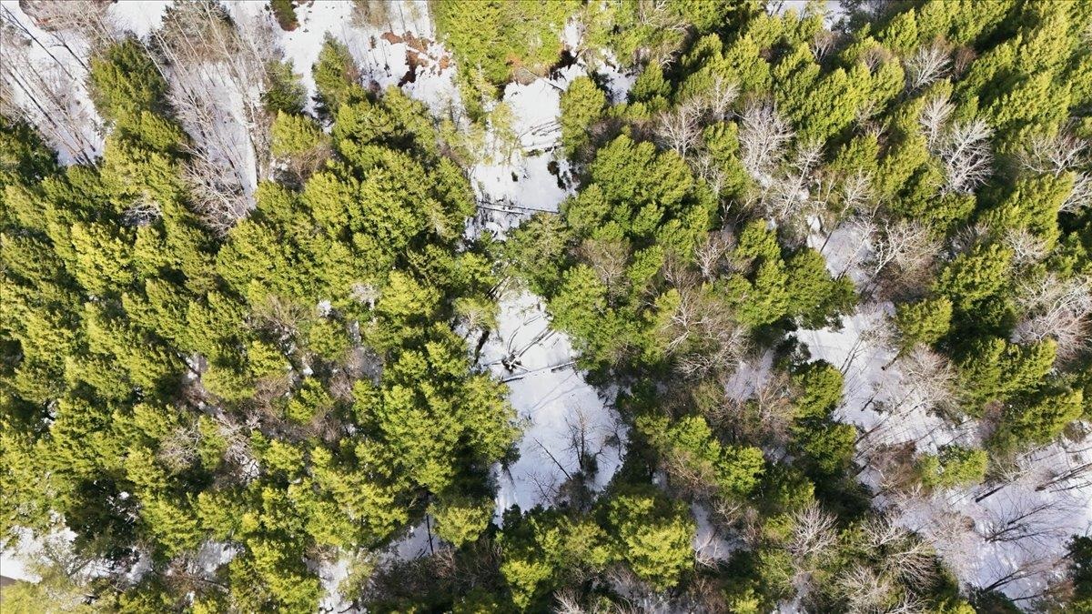 3 Hummingbird Lane Waitsfield, VT 05673 - Photo 10 of 23