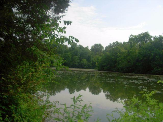 52 Old US Rte 52 New Richmond, OH 45157 - Photo 1 of 1