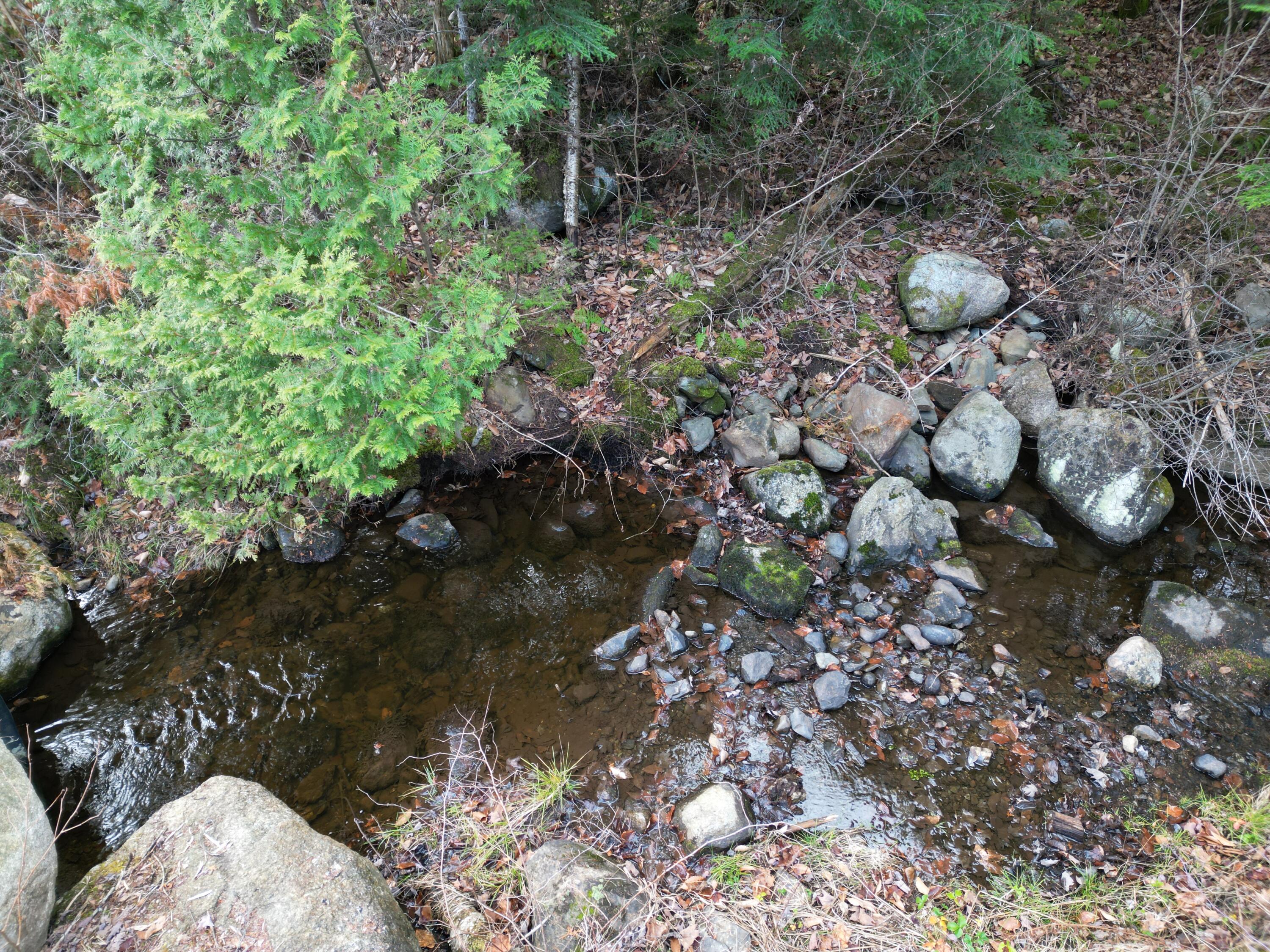 Lot 10 Moose Lane Springfield, ME 04487 - Photo 4 of 17 DJI_0948