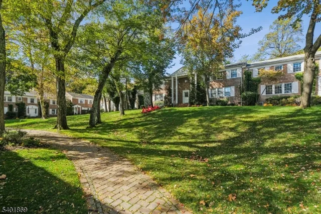 a view of a trees in front of a brick house