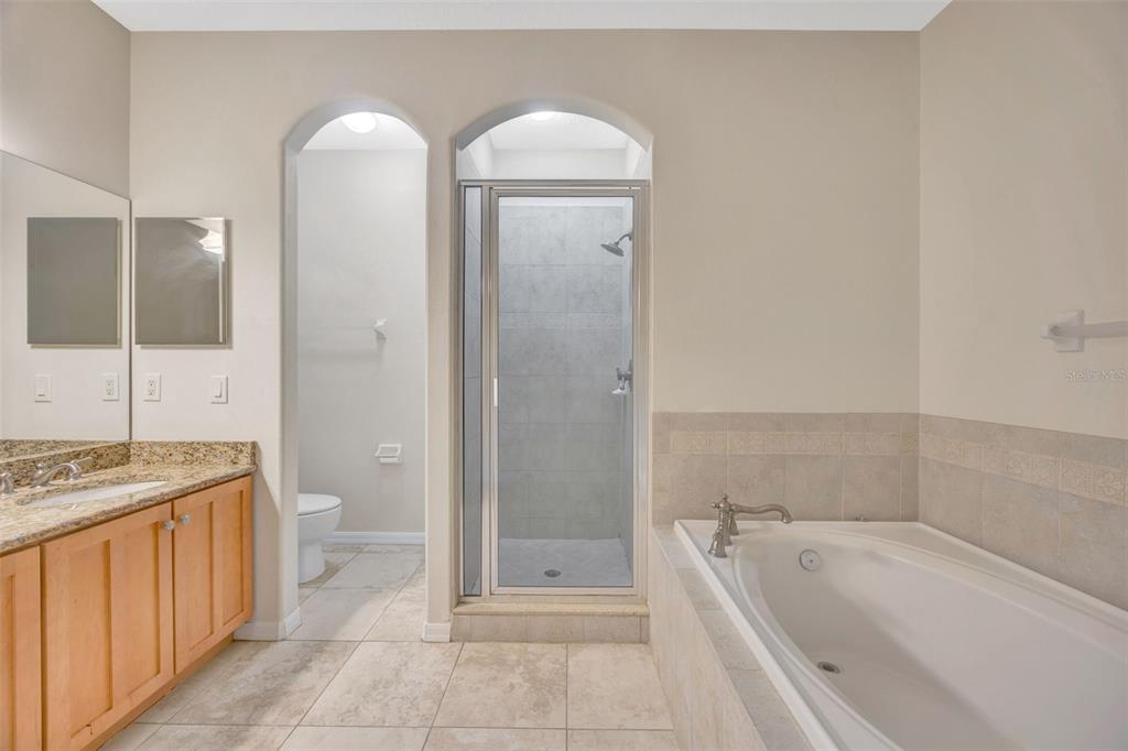 6020 Fishhawk Crossing Boulevard Lithia, FL 33547 - Photo 43 of 68 a spacious bathroom with a granite countertop sink and a mirror