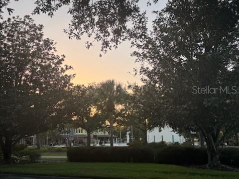 6020 Fishhawk Crossing Boulevard Lithia, FL 33547 - Photo 51 of 68