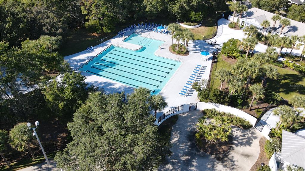 6020 Fishhawk Crossing Boulevard Lithia, FL 33547 - Photo 52 of 68