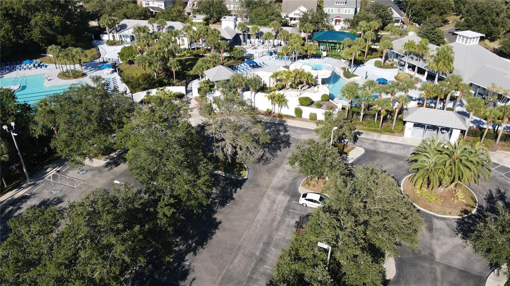 6020 Fishhawk Crossing Boulevard Lithia, FL 33547 - Photo 56 of 68 a view of a garden with plants