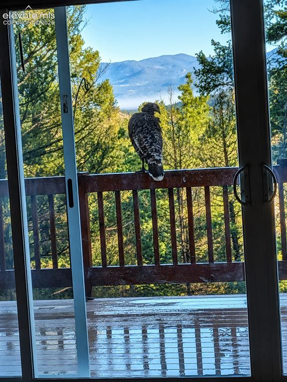 873 Trail Creek Road Lake George, CO 80827 - Photo 23 of 32