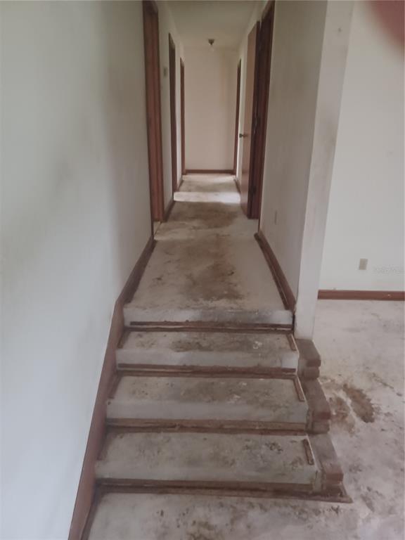 155 Parsons Road Longwood, FL 32779 - Photo 10 of 16