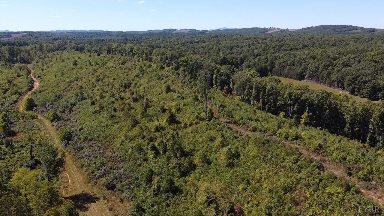 a view of a lush green hillside and a building