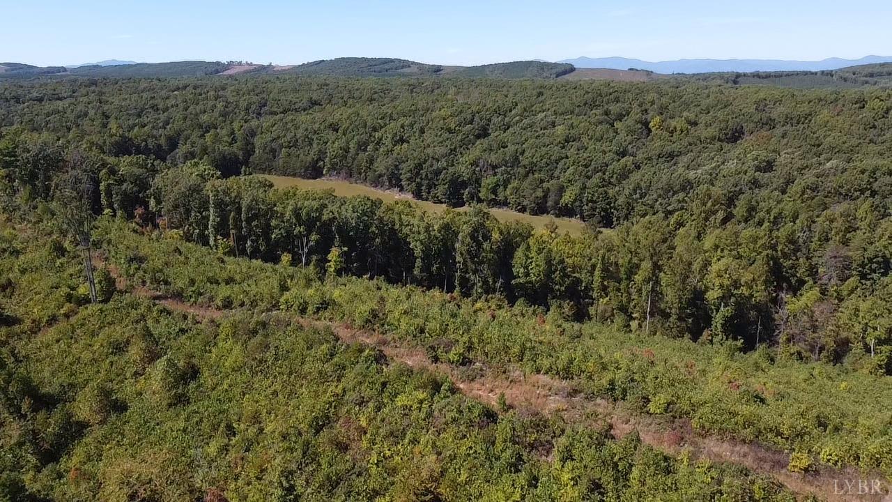 0 Norwood Road Gladstone, VA 24553 - Photo 2 of 6 a view of a lush green forest with lush green forest