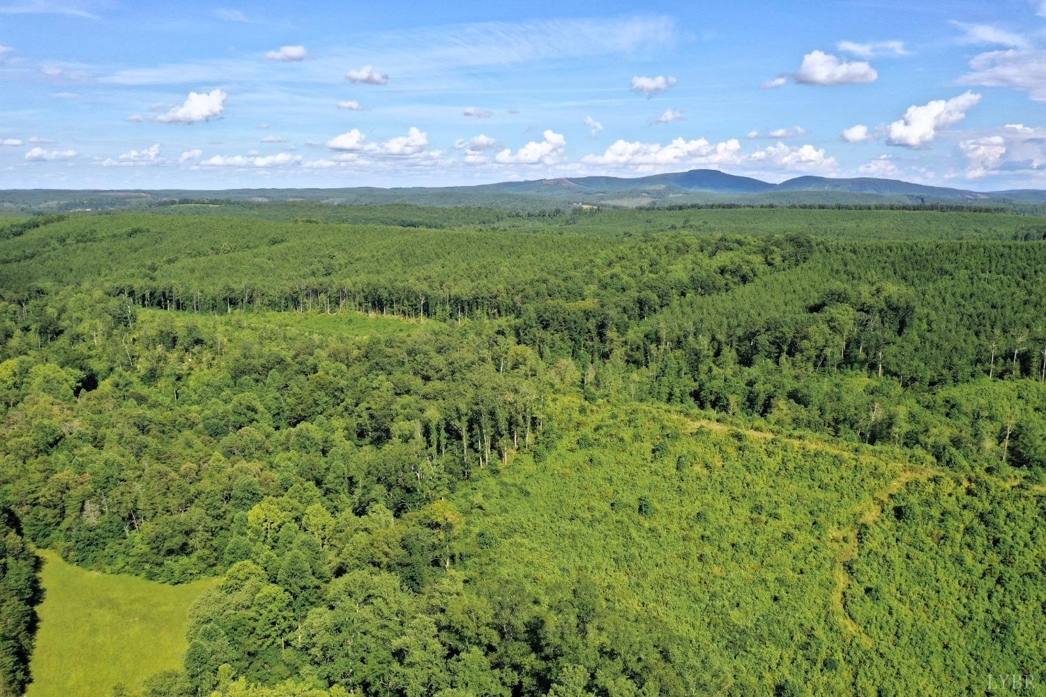 0 Norwood Road Gladstone, VA 24553 - Photo 3 of 6 a view of yard with green space
