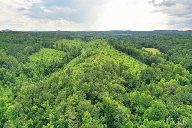 0 Norwood Road Gladstone, VA 24553 - Photo 4 of 6 a view of a lush green forest with trees in the background