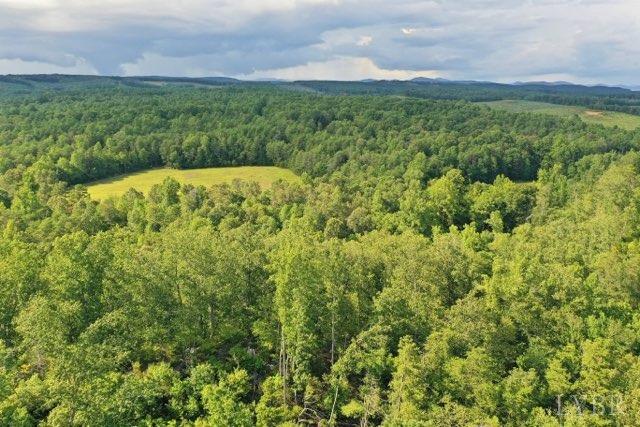 0 Norwood Road Gladstone, VA 24553 - Photo 5 of 6 a view of a big yard with lots of green space and mountain view