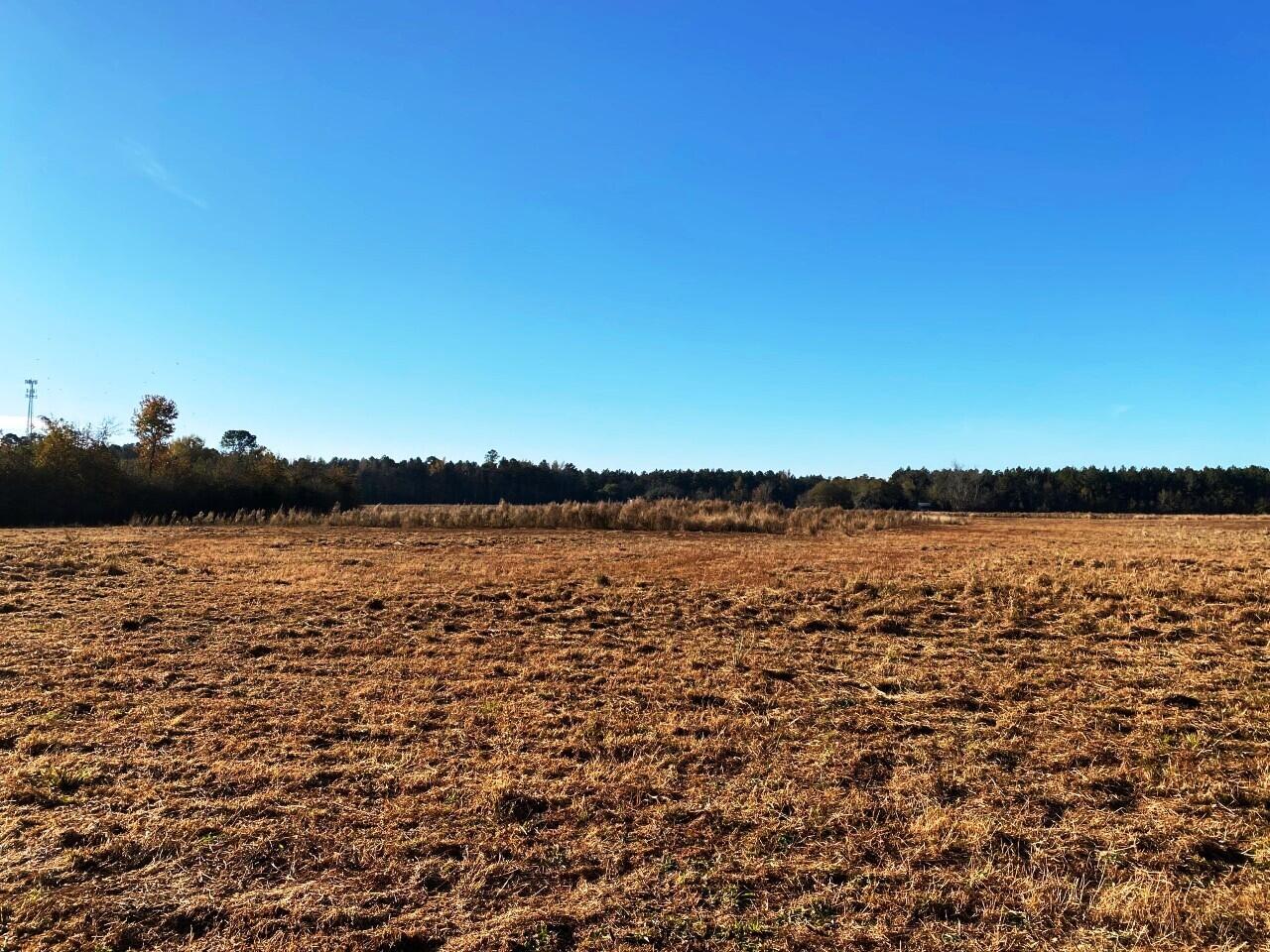5 State Road Holly Hill, SC 29059 - Photo 1 of 25 Horse lovers dream!