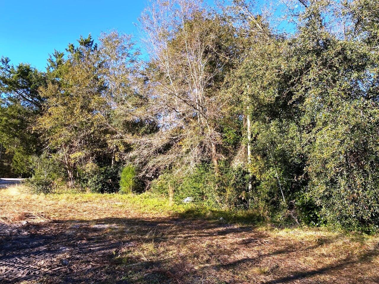 5 State Road Holly Hill, SC 29059 - Photo 17 of 25 Existing power pole!