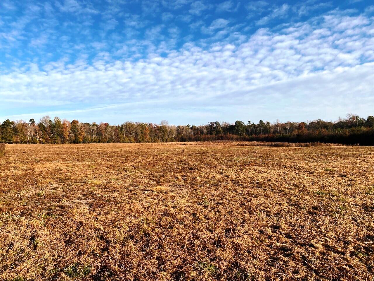 5 State Road Holly Hill, SC 29059 - Photo 2 of 25 Builders Dream!