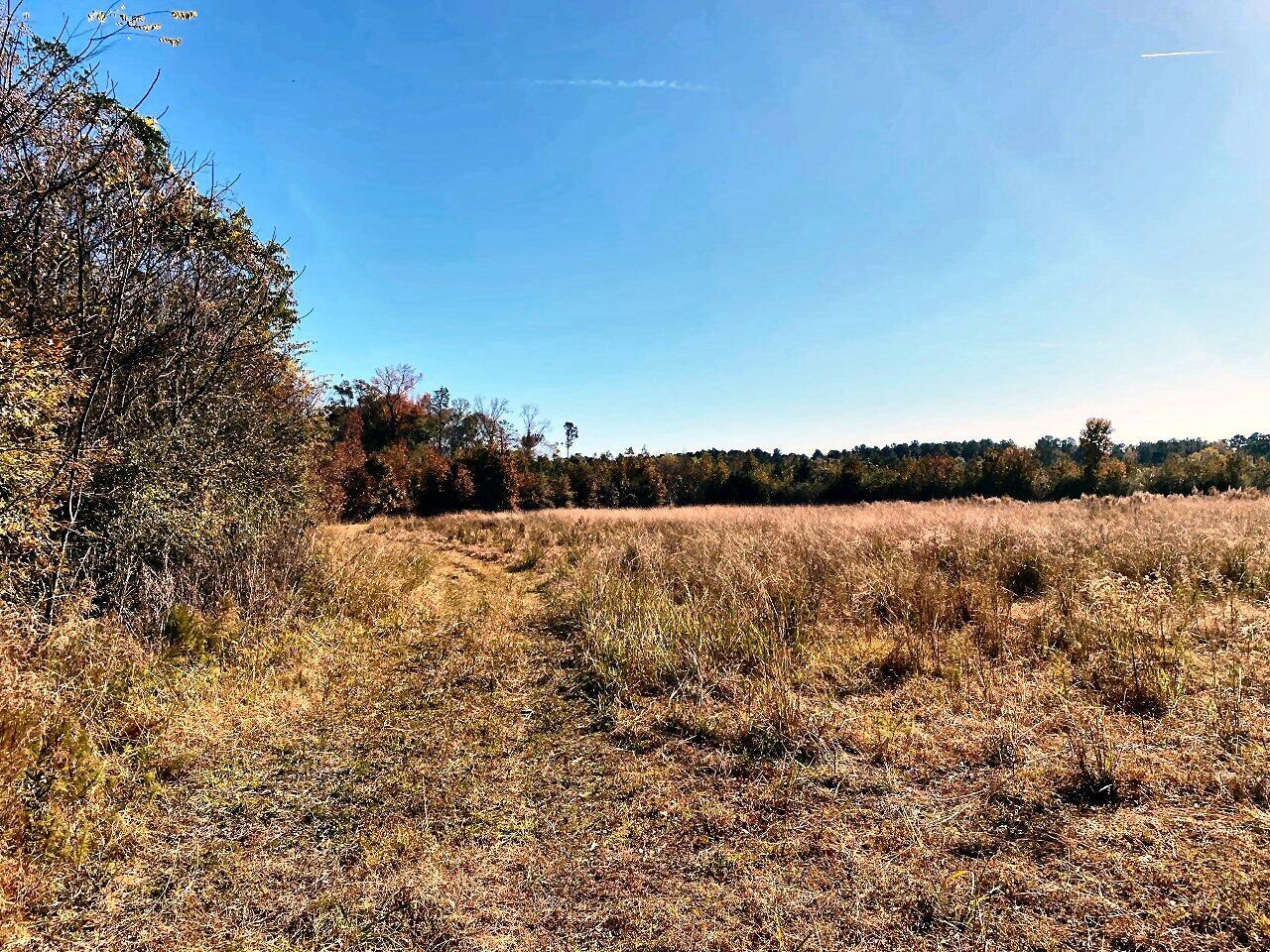 5 State Road Holly Hill, SC 29059 - Photo 7 of 25 Drive along back of property!