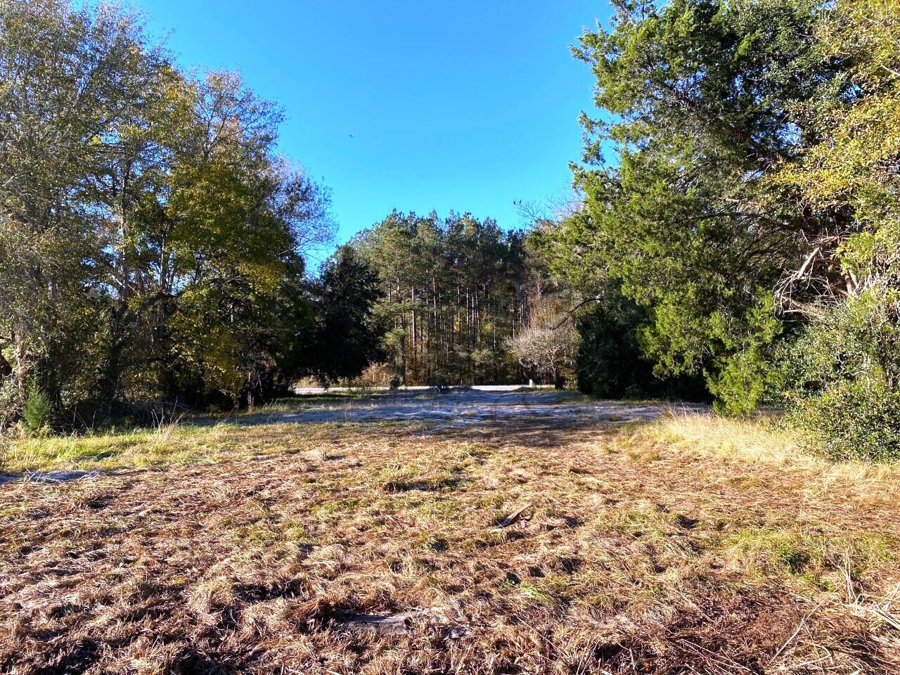 5 State Road Holly Hill, SC 29059 - Photo 10 of 25 Entrance looking toward Hwy 176!