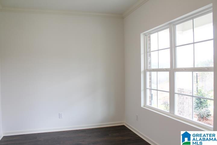 520 Rock Terrace Way Helena, AL 35080 - Photo 9 of 53