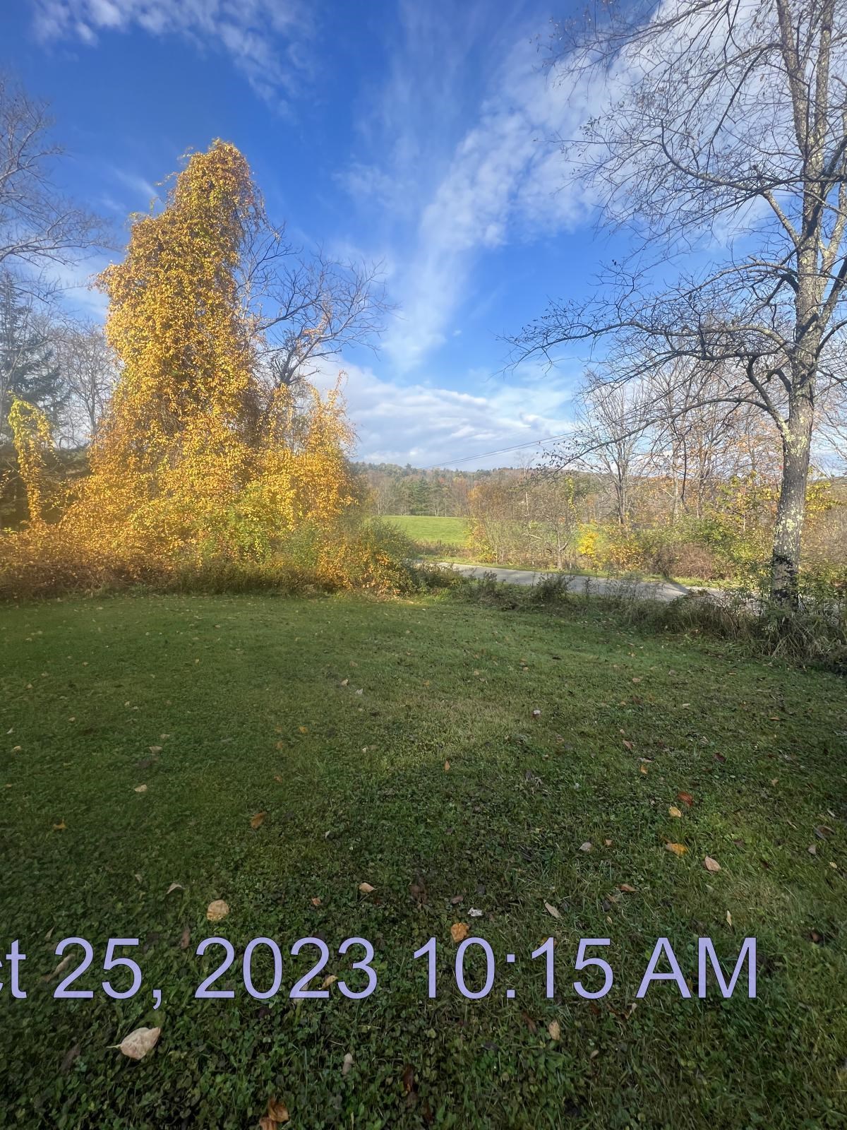 276 Dutton District Road Springfield, VT 05156 - Photo 8 of 11