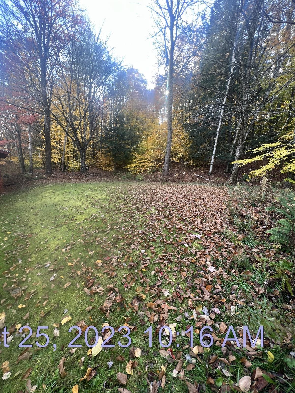 276 Dutton District Road Springfield, VT 05156 - Photo 9 of 11