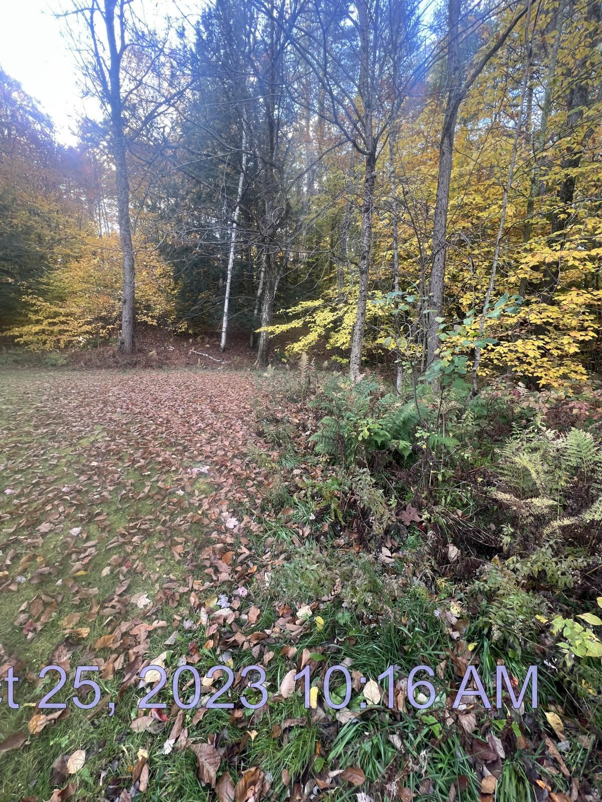 276 Dutton District Road Springfield, VT 05156 - Photo 10 of 11