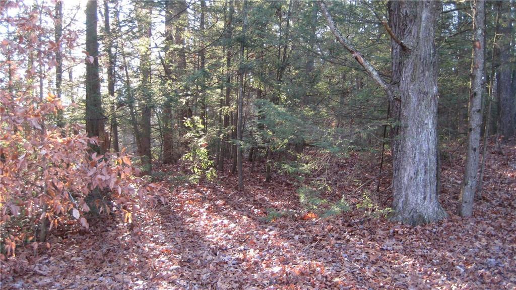 26 Gracey Road Canton, CT 06019 - Photo 1 of 1 Fairly level lot in super convenient location just minutes to Rt. 44 corridor.