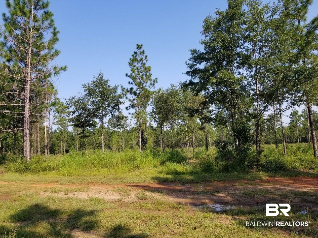 0 Jerkins Loop Atmore, AL 36502 - Photo 8 of 50